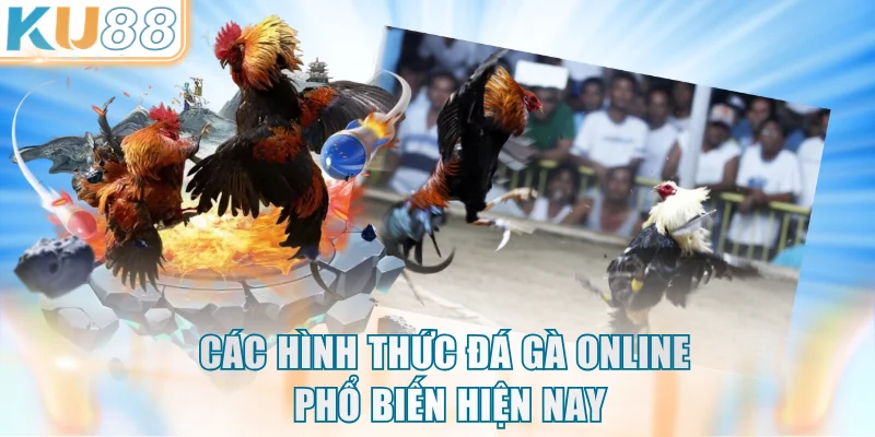 Cập nhật bộ môn thi đấu chọi kê tại KU88