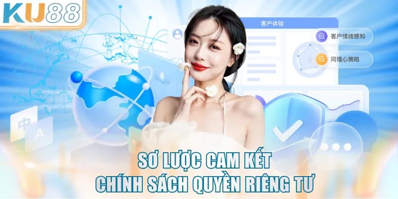 Sơ lược cam kết chính sách quyền riêng tư