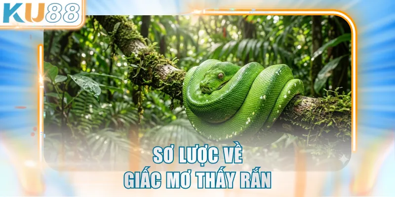 Sơ lược về giấc mộng thấy rắn
