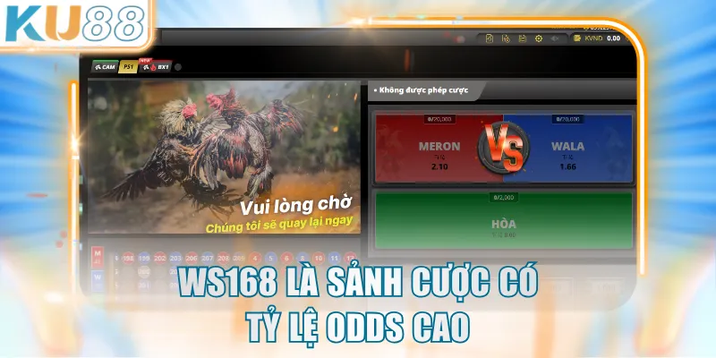 WS168 là sảnh cược có tỷ lệ odds cao